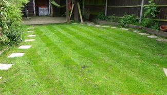 Standard seasonal treatment – Broadland Lawn Care