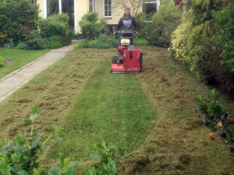 Lawn Renovation - Scarifying