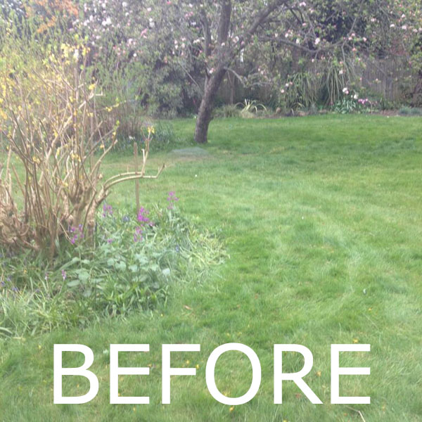 lawn before