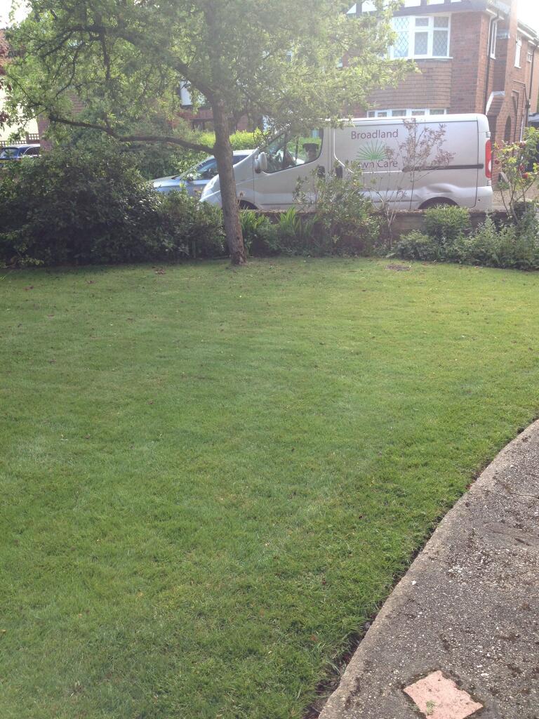 broadland Lawn Care - after treatment