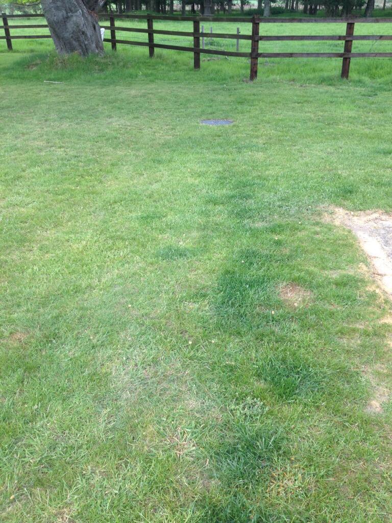 broadland Lawn Care - after treatment