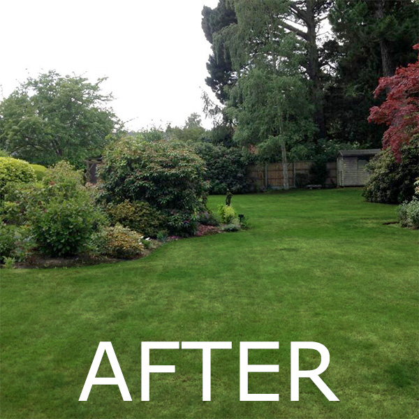 broadland lawn care after slide