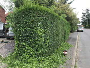 Hedge Cutting