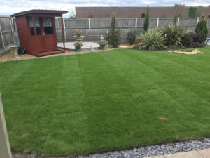 Lawn After Returfing